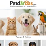 Petdardas com: Your Ultimate Guide to Pet Care and Products