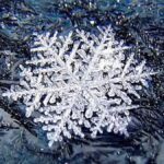 Unveiling Snowhiter: Fascinating Facts You Didn’t Know